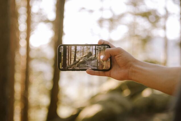 Как сделать фото на iPhone лучше: есть скрытая функция