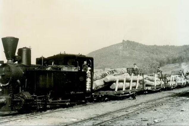 Яким було залізничне сполучення на Закарпатті: відео початку ХХ століття