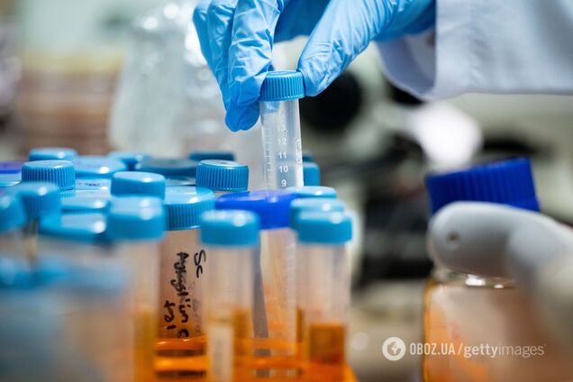 Война принесла гепатит и туберкулез, будут новые вспышки болезней. Интервью с Голубовской