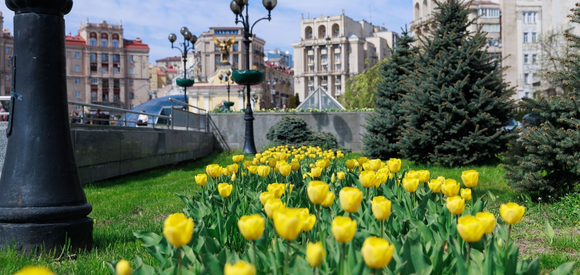 Путеводитель по весеннему цветению в Киеве: где цветут азалии, сакуры, сирень, тюльпаны