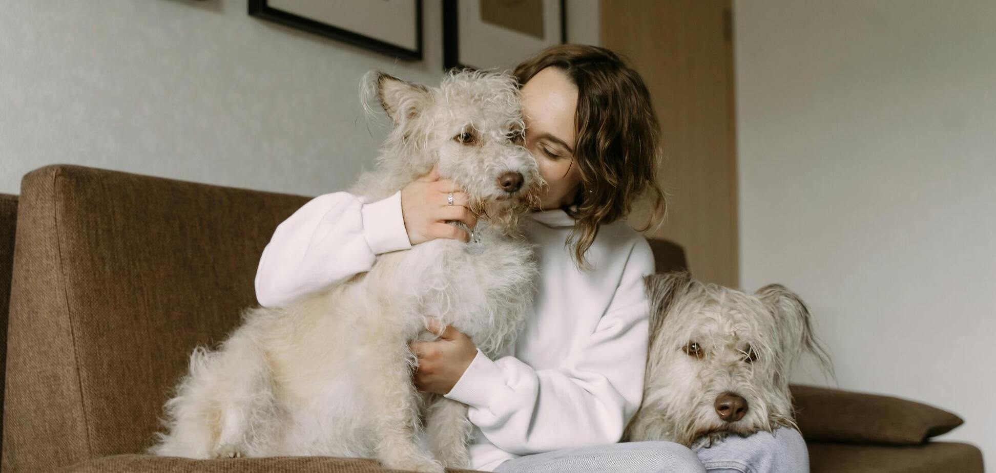 Кинолог назвала 5 типов людей, которым 'никогда не стоит заводить собаку'