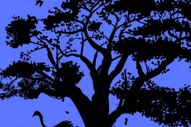 Що побачили першим? Тест розкриє правду про вашу нервову систему