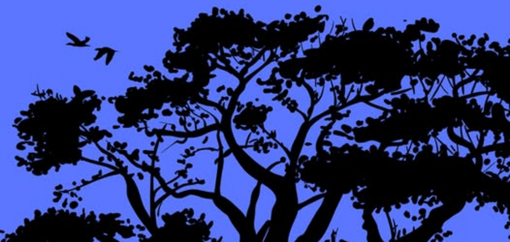 Что увидели первым? Тест раскроет правду о вашей нервной системе