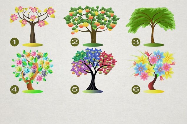 Выберите дерево: быстрый тест раскроет ваш характер