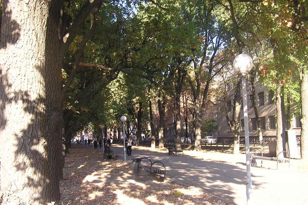 Полтава в 30-х: в сети показали архивное фото города