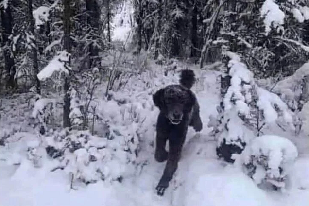 Что увидели первым? Тест раскроет правду о вашей личности