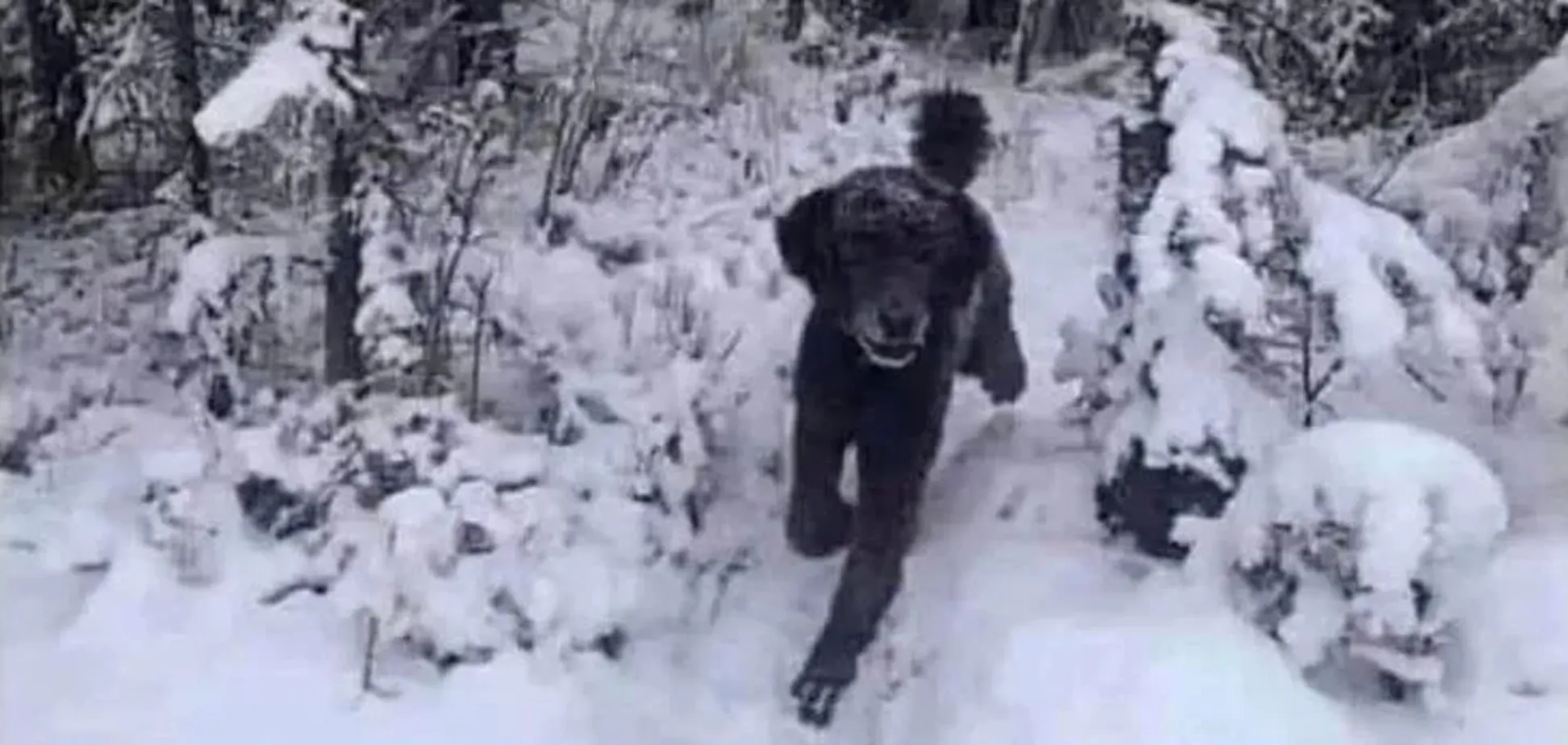 Що побачили першим? Тест розкриє правду про вашу особистість