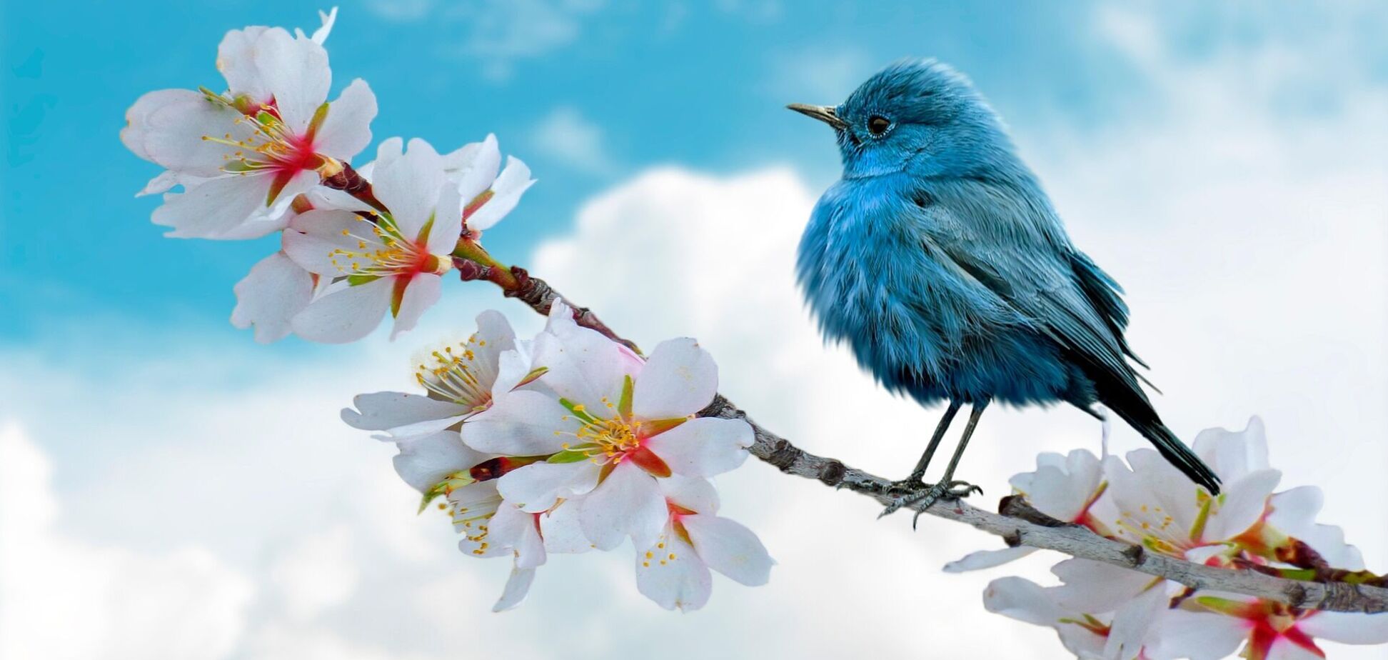 На выходных будет прохладно: синоптик рассказала, когда в Украину ворвется потепление