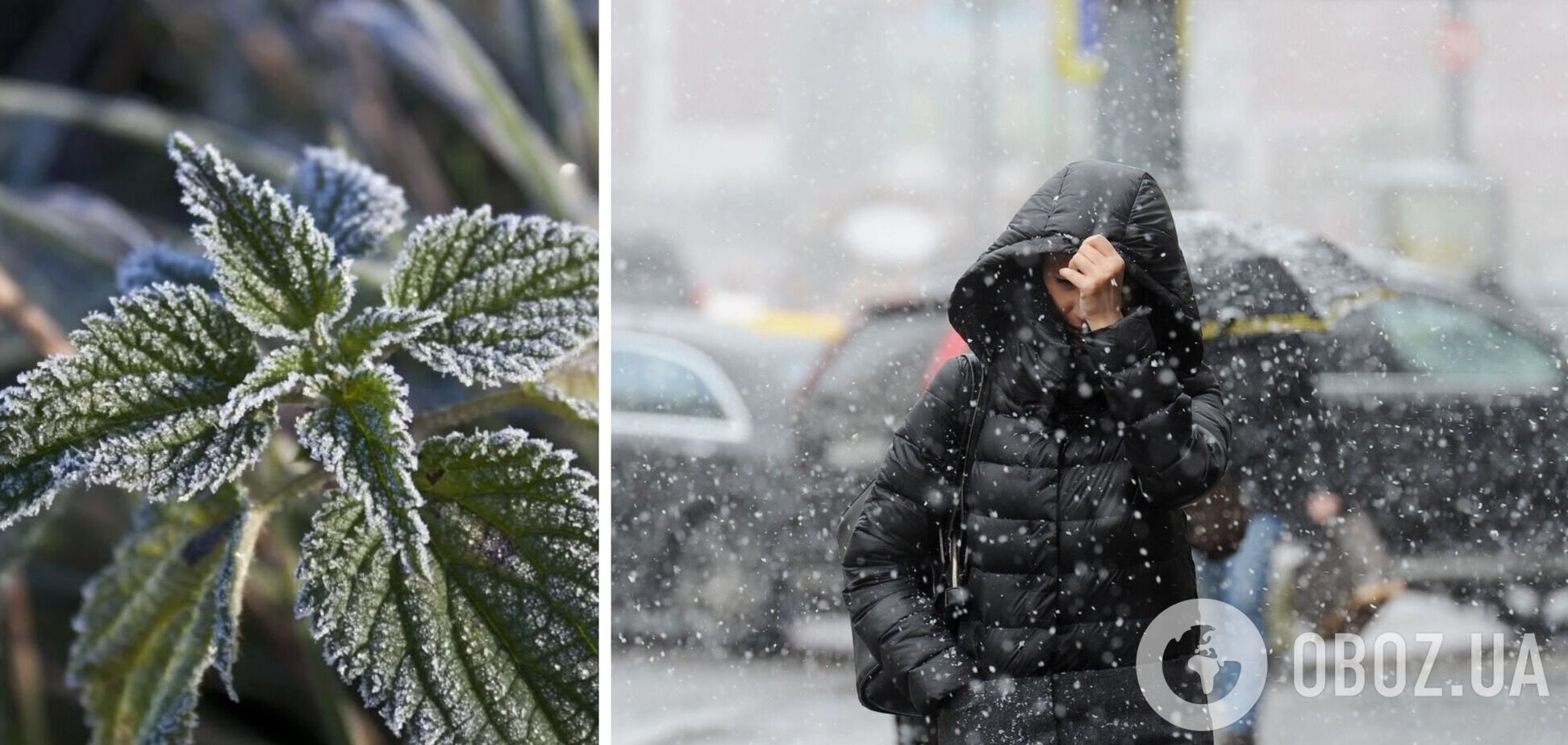 Заморозки и мокрый снег: прогноз погоды по Киевской области на 11 апреля