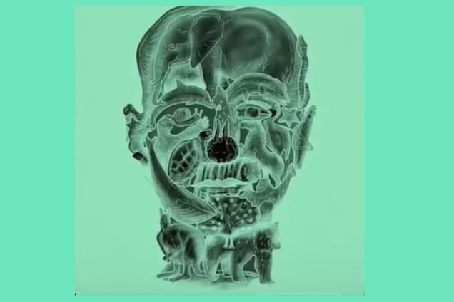 Какое животное вы увидели? Тест покажет вашу токсичную черту