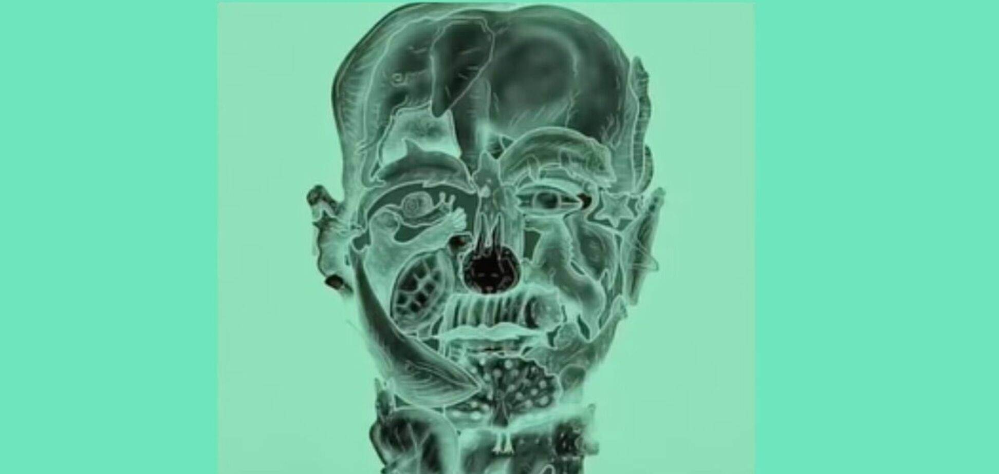 Какое животное вы увидели? Тест покажет вашу токсичную черту