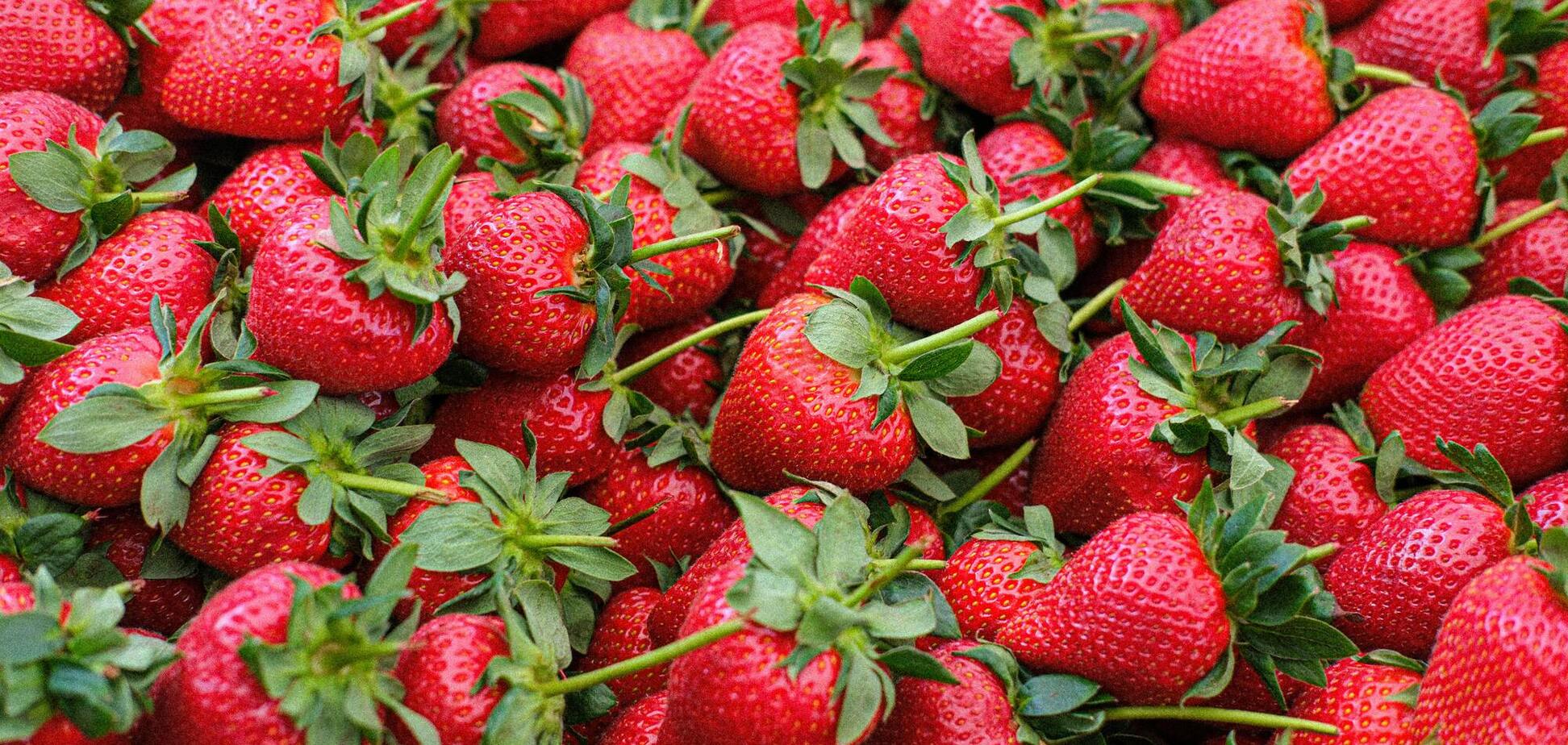 Полуниця виросте соковитішою та більшою: що додати у ґрунт навесні