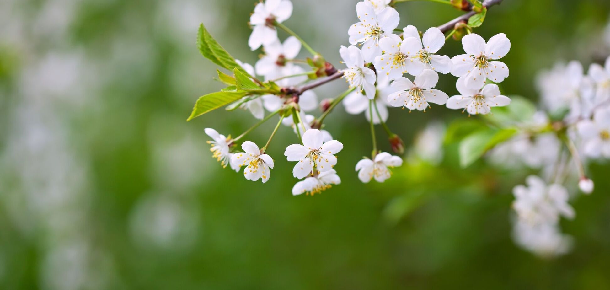 Когда в Украину ворвется потепление: синоптики дали прогноз. Карта