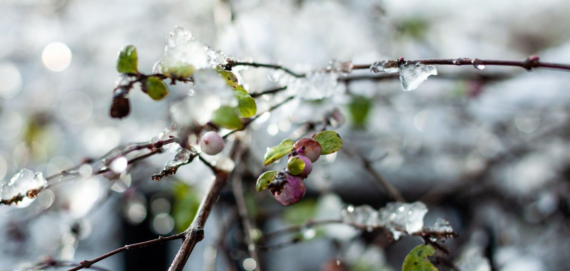 В Украину возвращается тепло: синоптики сказали, где в понедельник будет +17 градусов. Карта