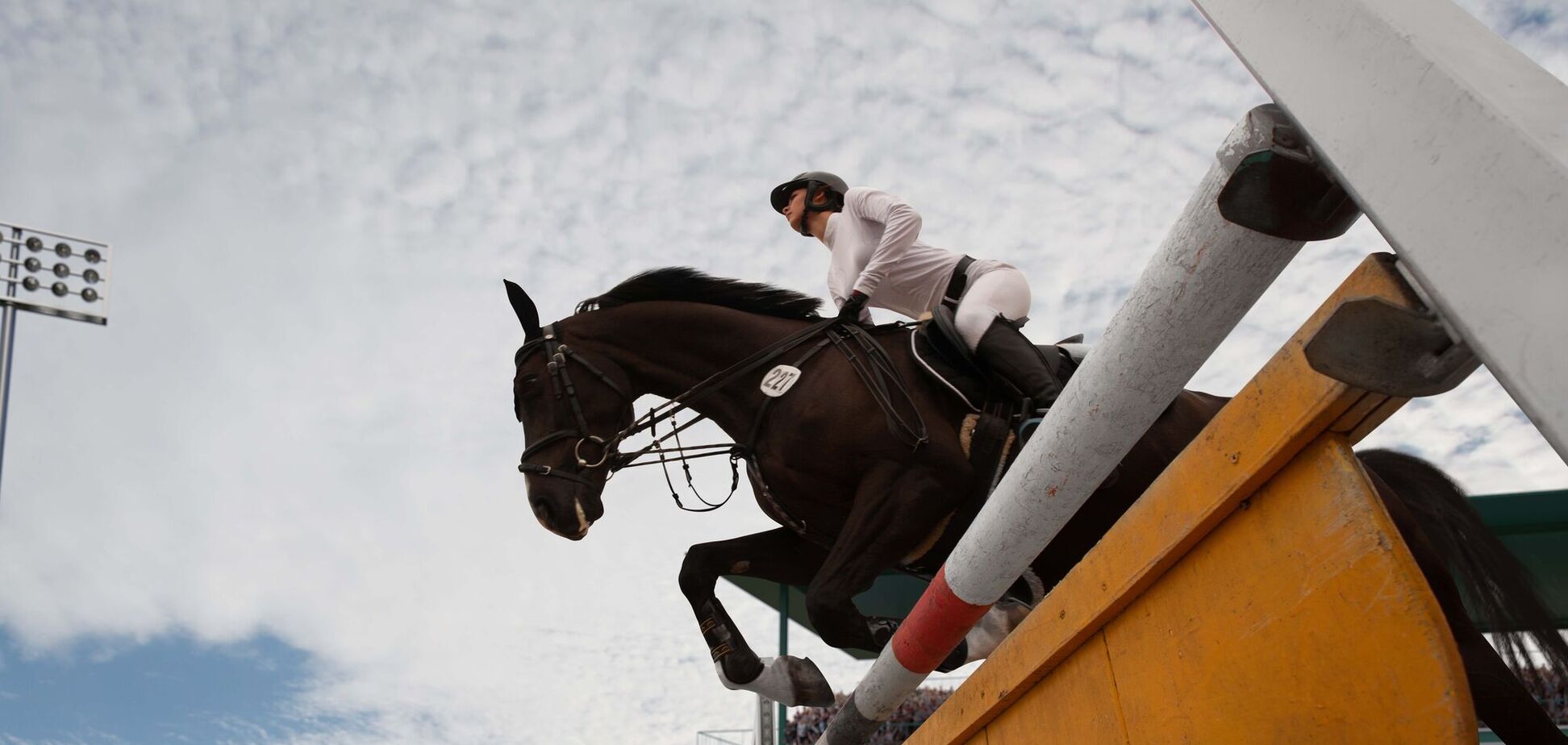 Кінні перегони. Ілюстраційне зображення