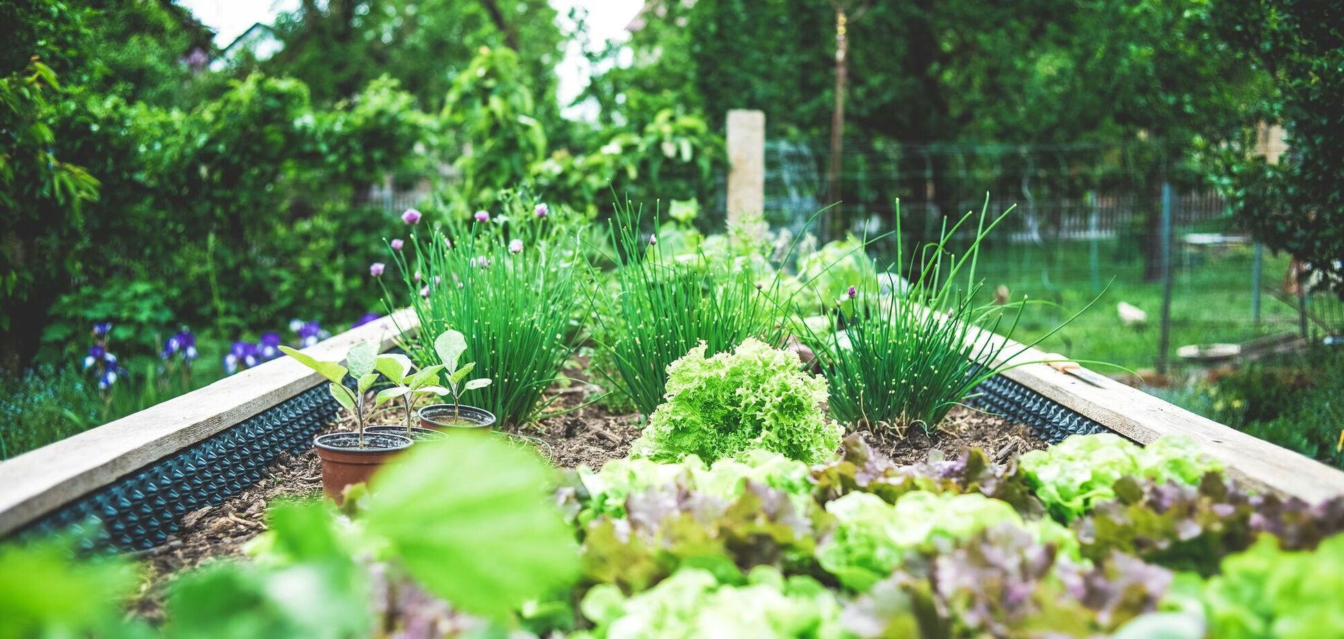 Посівний календар до кінця квітня: що варто посадити і коли