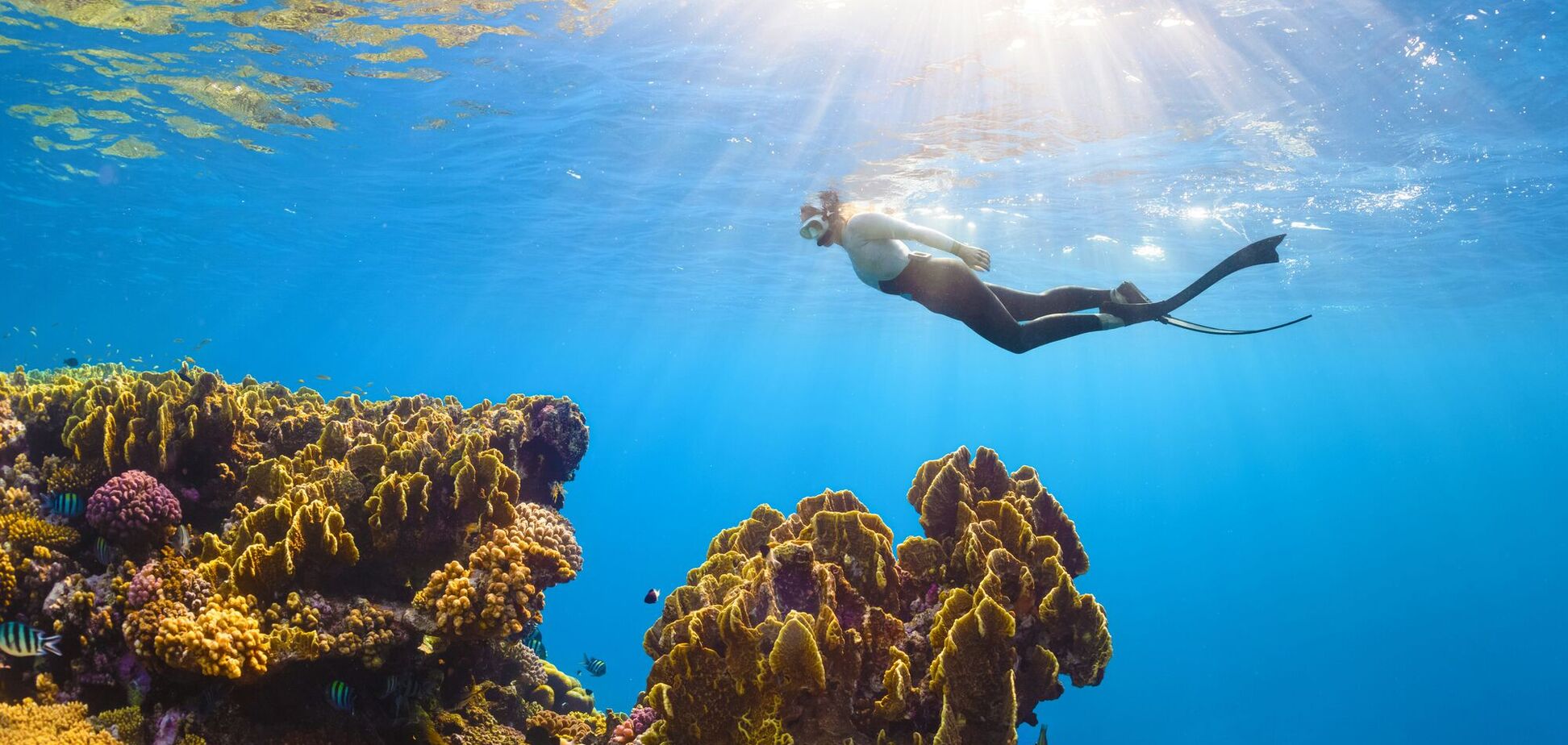 Найкращі місця у світі для дайвінгу: ви ніколи не забудете побачене