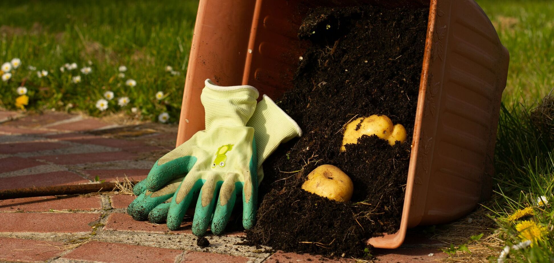 Никогда не бросайте это в компостную яму: список запрещенного