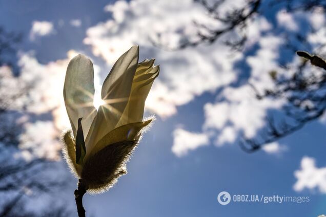 Температура упадет до +1: в Гидрометцентре рассказали, какие регионы накроет похолодание и когда наконец потеплеет