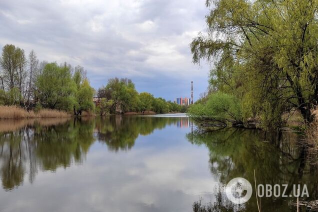 Без опадів та до +18°С: детальний прогноз погоди по Київщині на 15 квітня