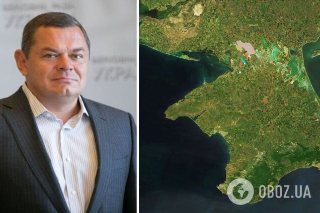 Сім'я українського нардепа має бізнес у Криму
