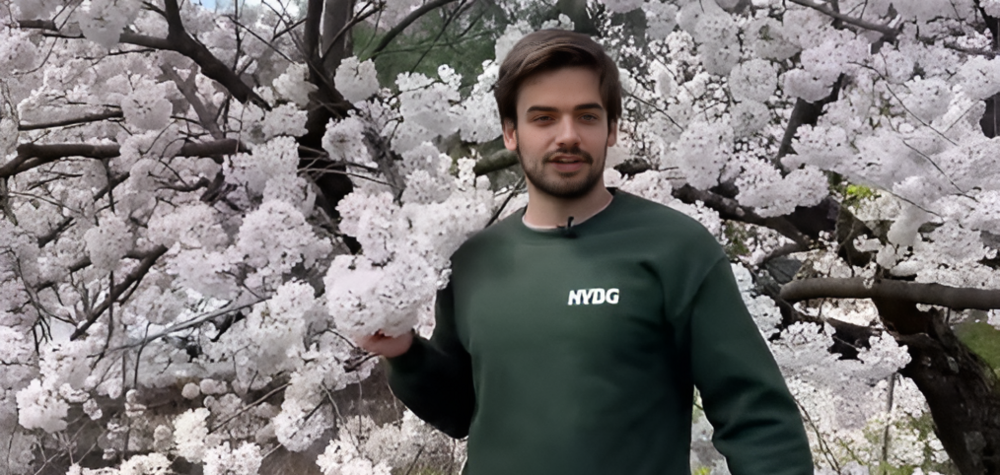 'Прокляття привабливості'. Американський садівник став жертвою хтивих коментарів після невинного відео з квітами: який вигляд він має