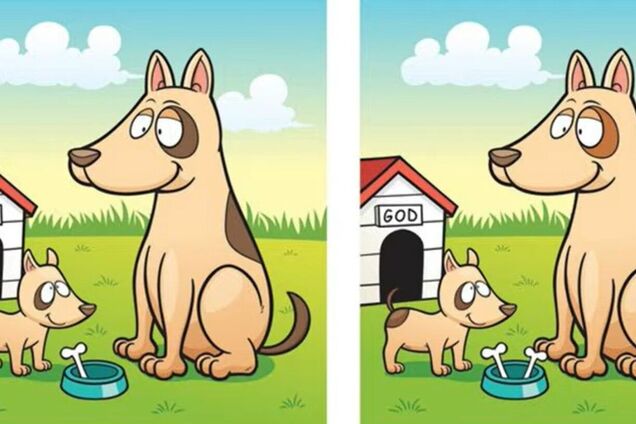 Знайдіть 5 відмінностей: весела головоломка