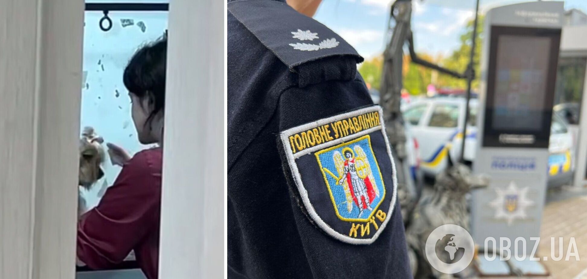 Схопила собаку за шию і замахувалася: у Києві поліція почала перевірку через інцидент в грумінг-салоні. Відео