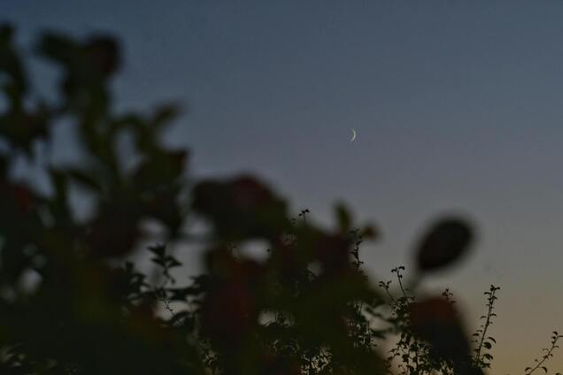 Молодик в Овні: які знаки зодіаку будуть щасливчиками у квітні