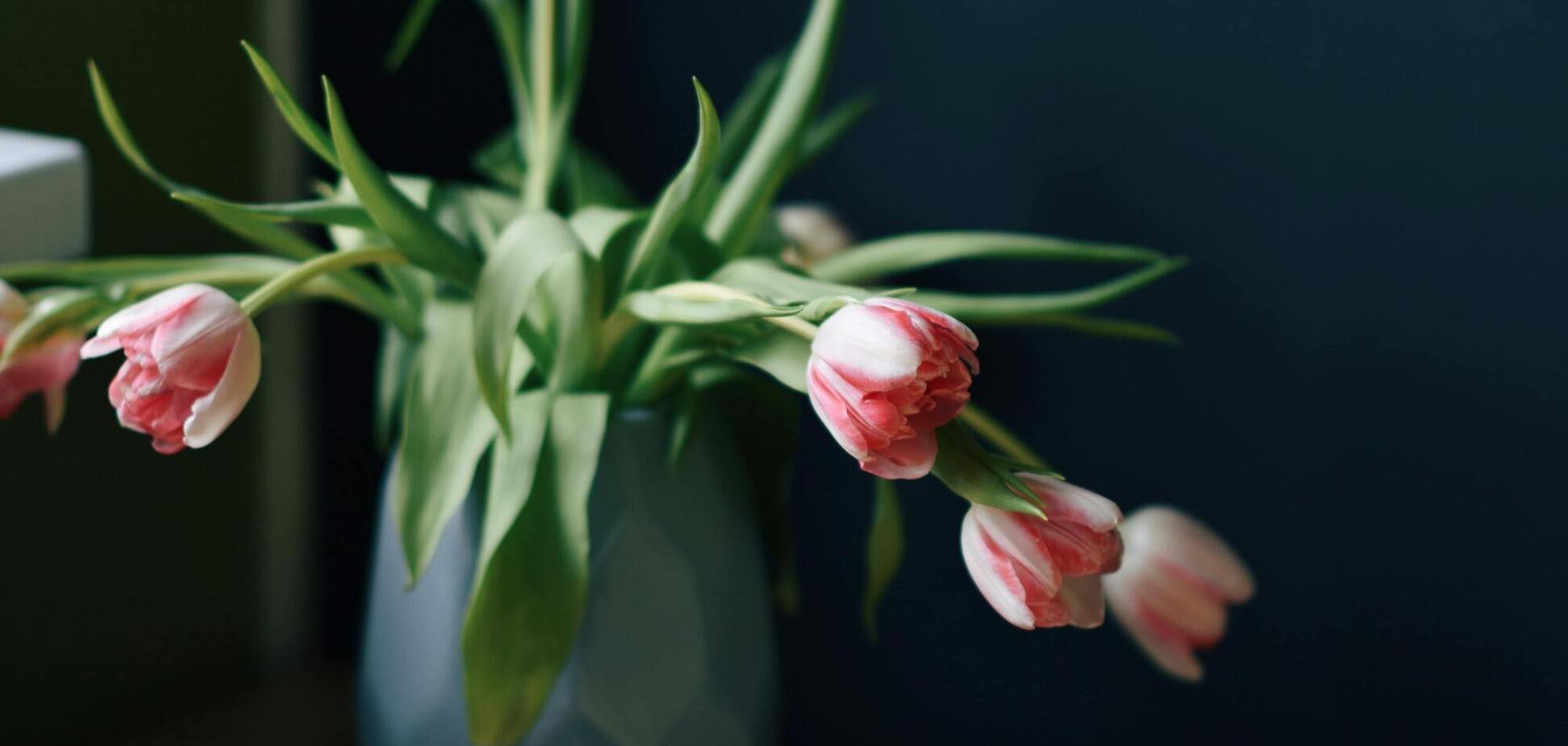 Як миттєво оживити зів'ялі тюльпани у вазі: дивовижний лайфхак