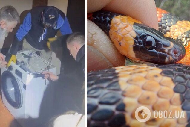 В Харькове в стиральной машине нашли змею: как она туда попала. Фото