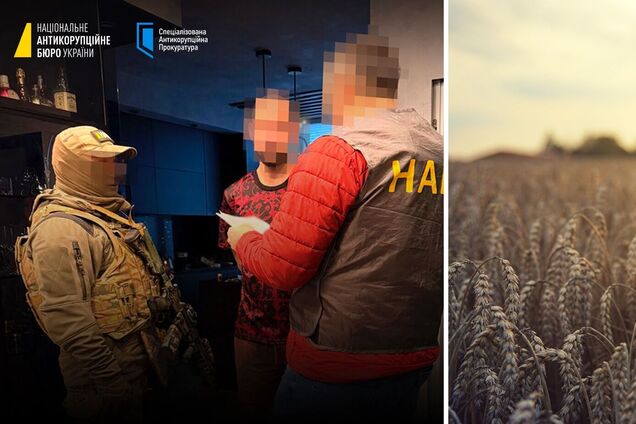 Оголошення підозри за розкрадання зерна. Ілюстрація