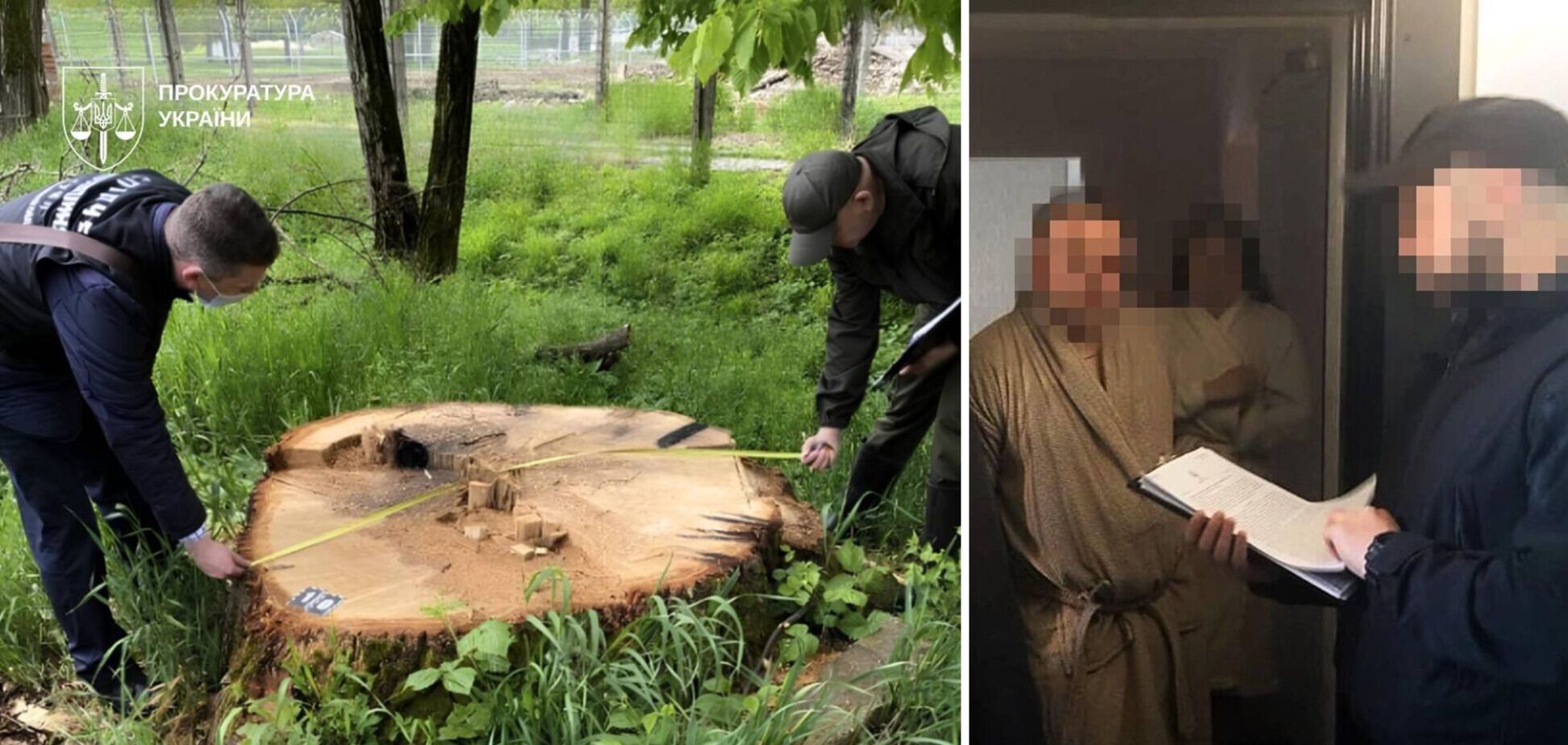 В СОУ викрили схеми на деревині на 14,7 млн грн