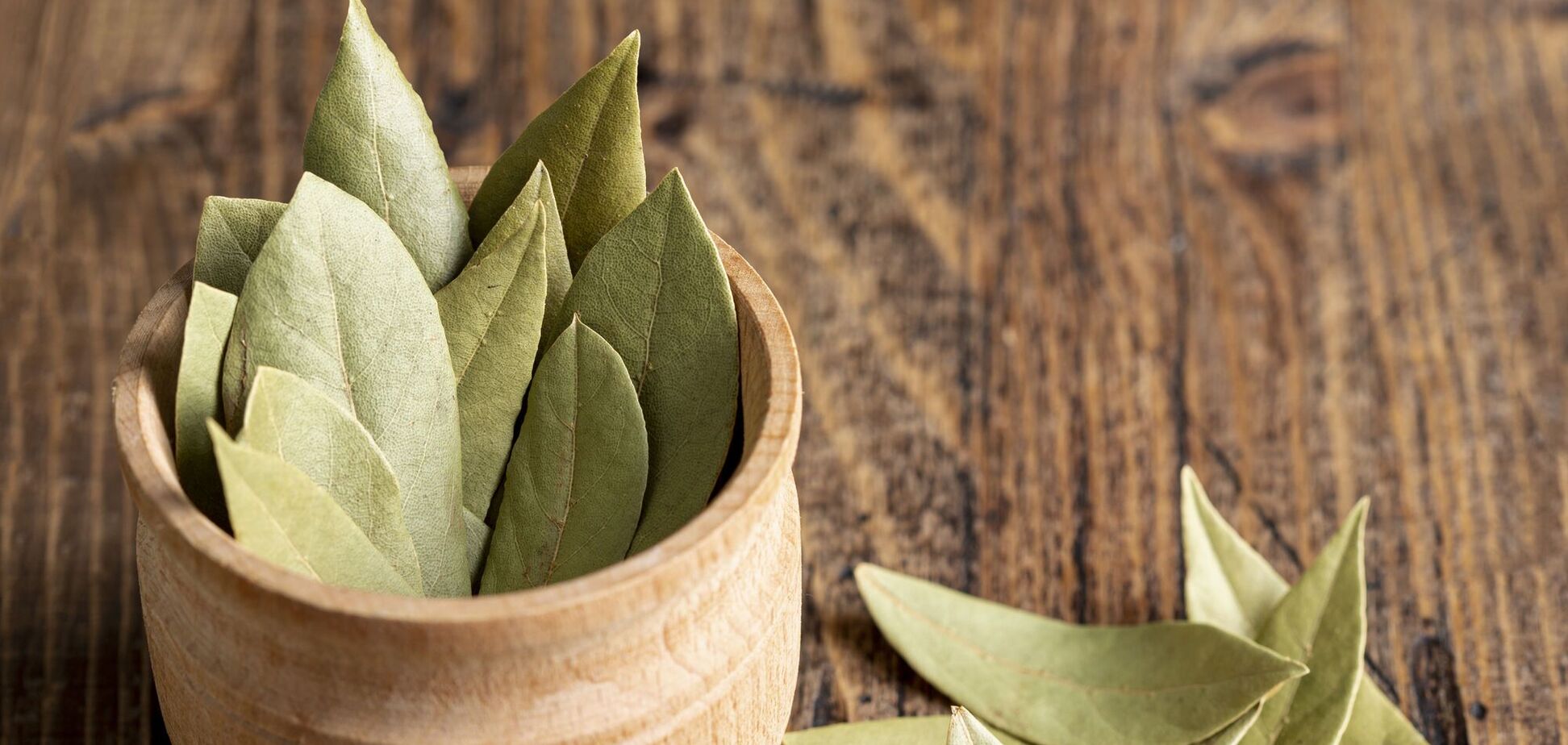 Зачем в СССР клали лавровый лист под кровать: суть лайфхака