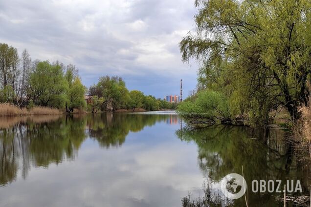 Заморозки вночі та без опадів удень: прогноз погоди по Київщині на 21 квітня