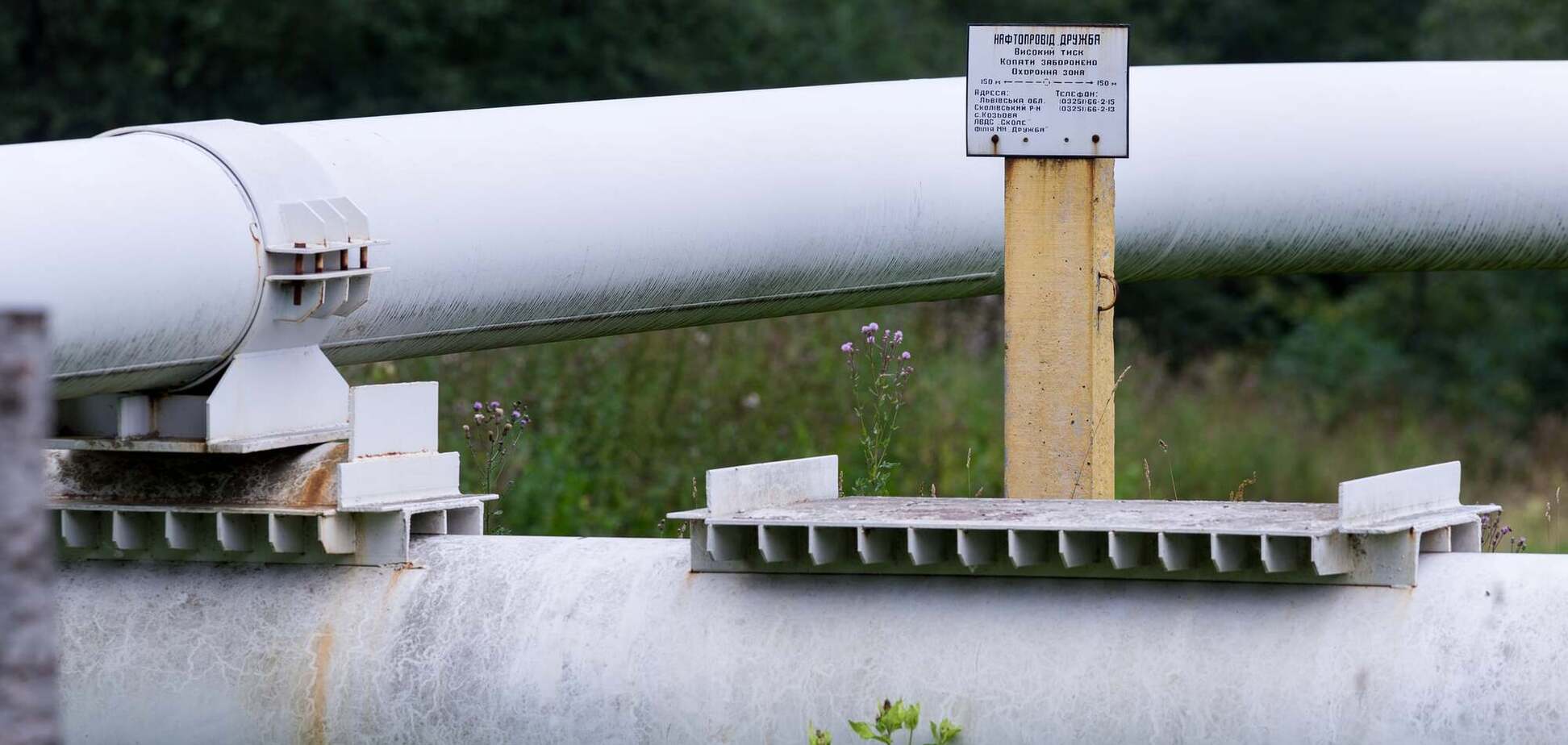 Україна відновить постачання нафти через 'Дружбу' 21 квітня – Bloomberg