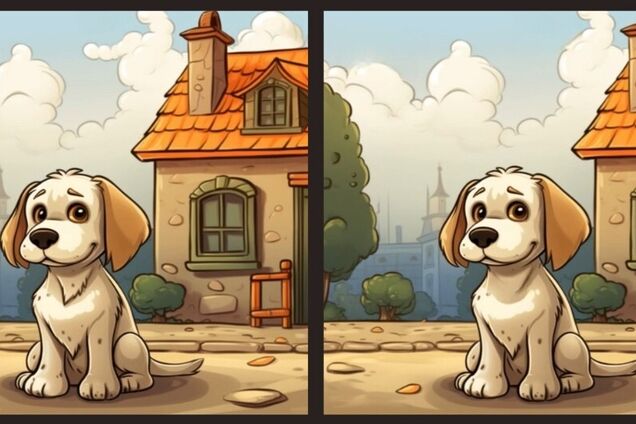 Знайдіть відмінності: головоломка для дорослих і дітей