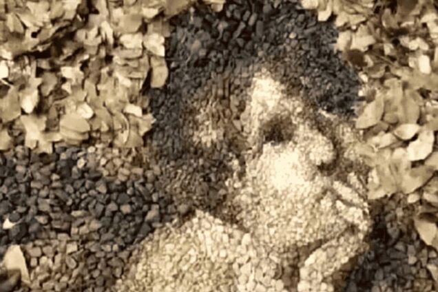 Что увидели первым? Тест покажет, счастливы ли вы