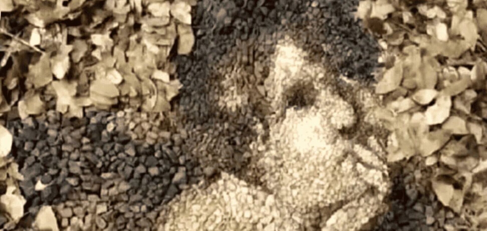 Что увидели первым? Тест покажет, счастливы ли вы