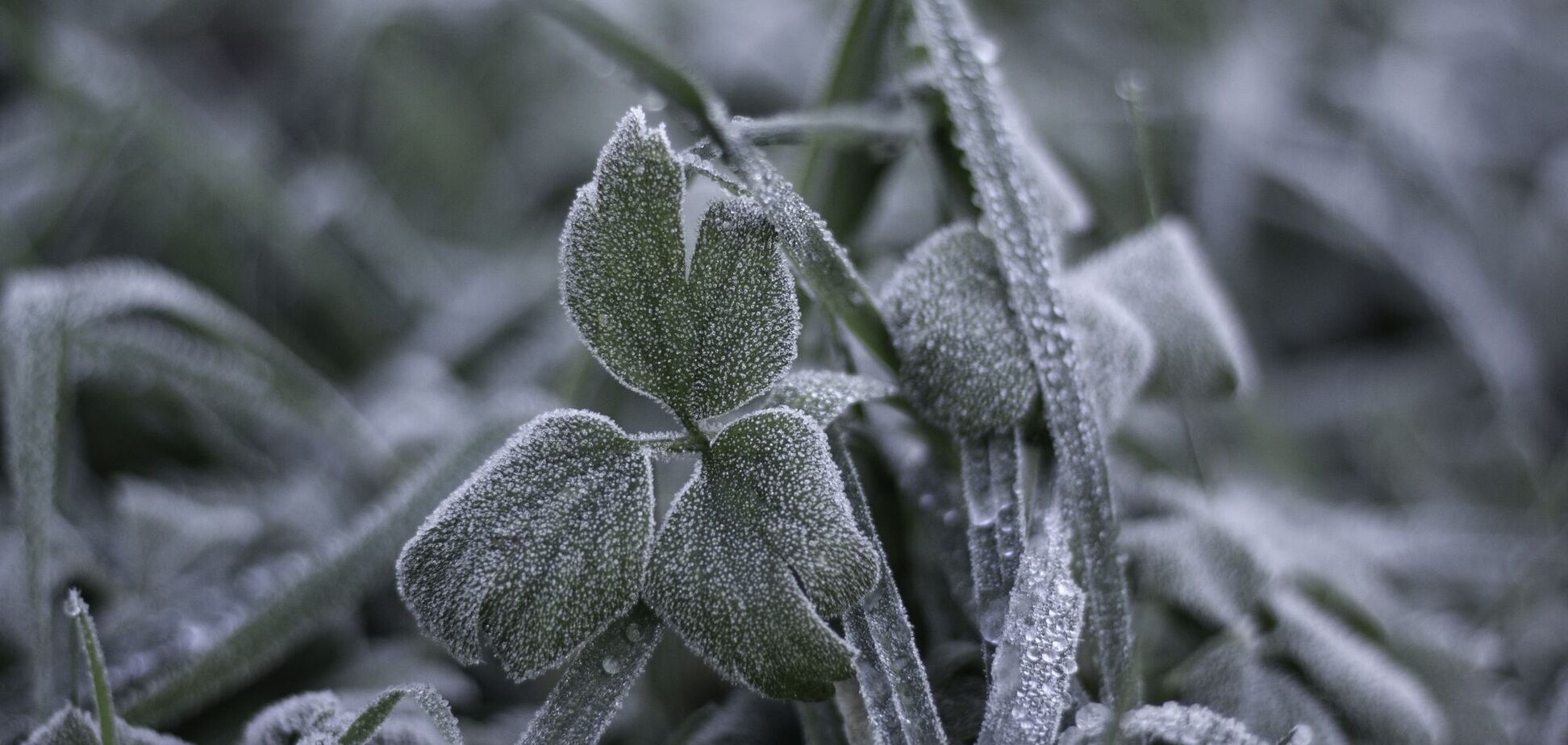 Синоптики дали прогноз на середу в Україні: де вдарять заморозки та можливий сніг. Карта