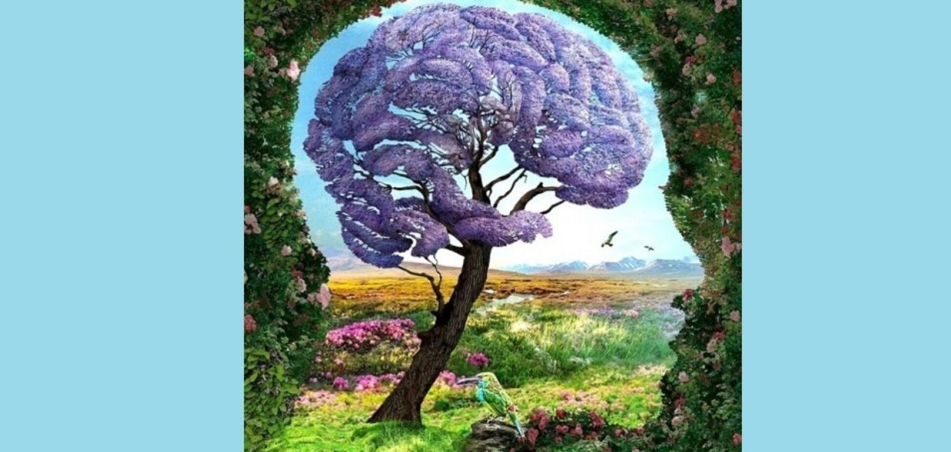 Что увидели первым? Тест раскроет ваши скрытые черты характера