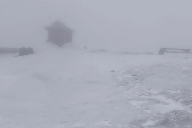 Зима у квітні: у Карпатах посеред весни пішов сніг. Фото та відео