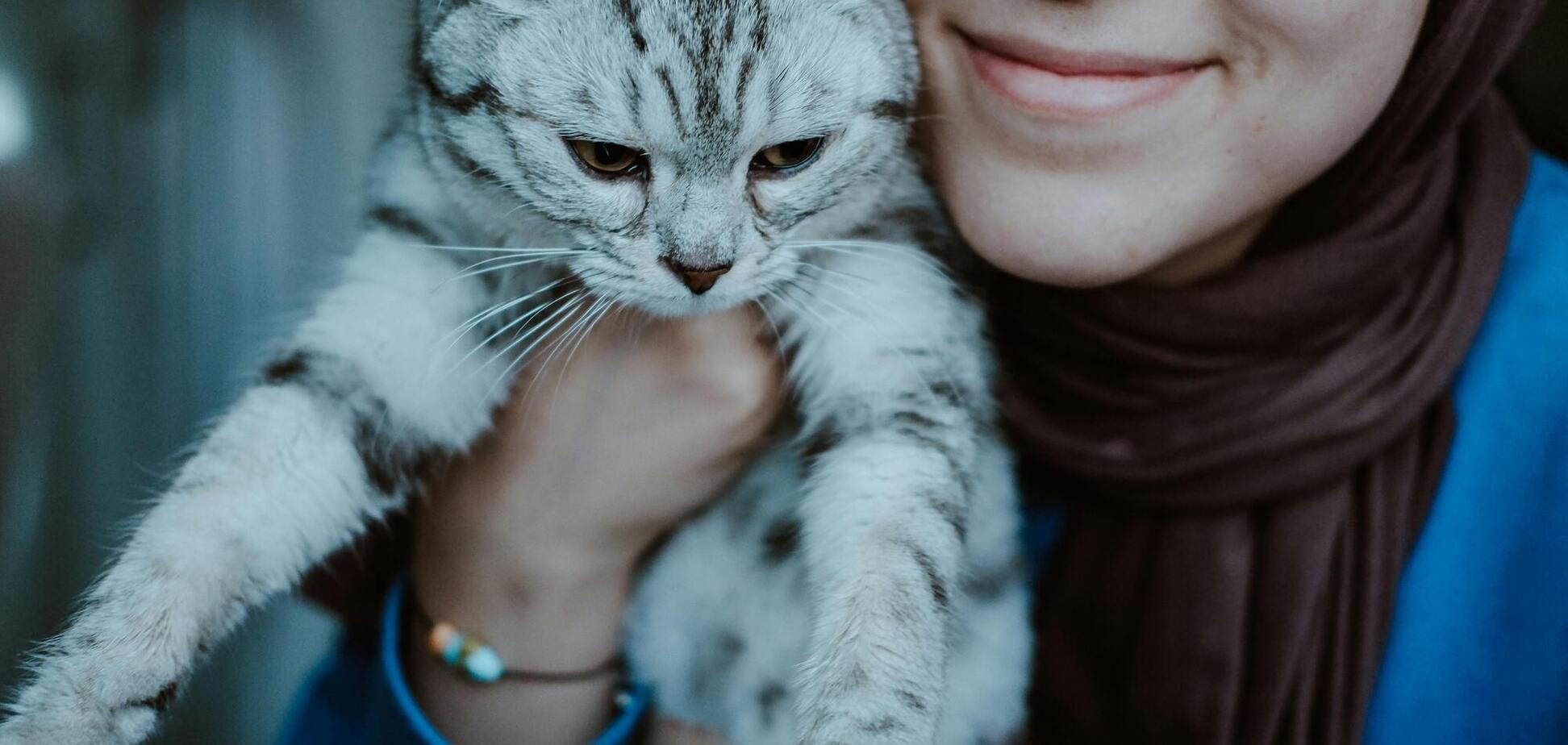 Как понять, что кот действительно любит вас, а не просто терпит: четыре признака