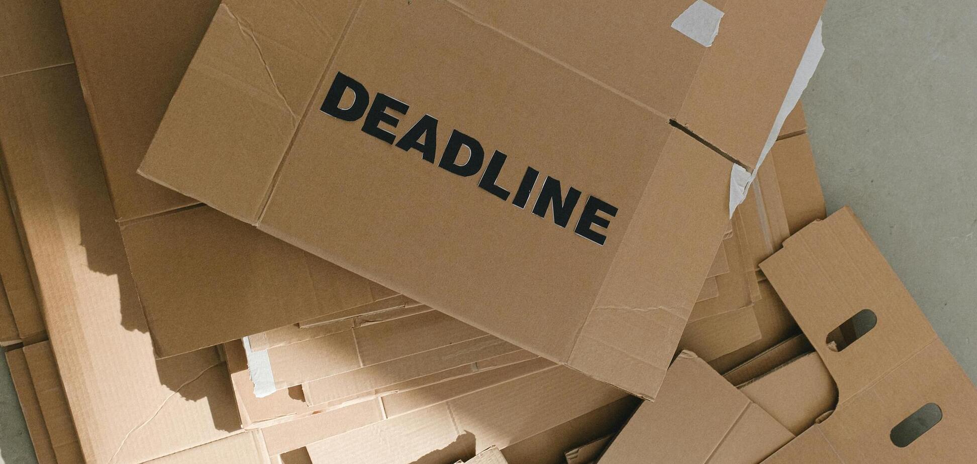 Ніколи не викидайте картонні коробки: незвичайний лайфхак для садівників