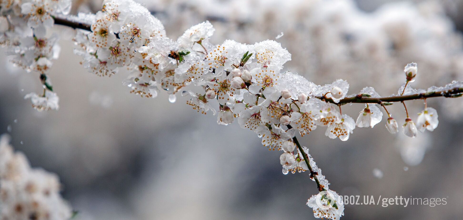'Зимова' негода накриє Україну: в яких регіонах найбільше впаде температура і очікується сніг. Прогноз погоди на п'ять днів