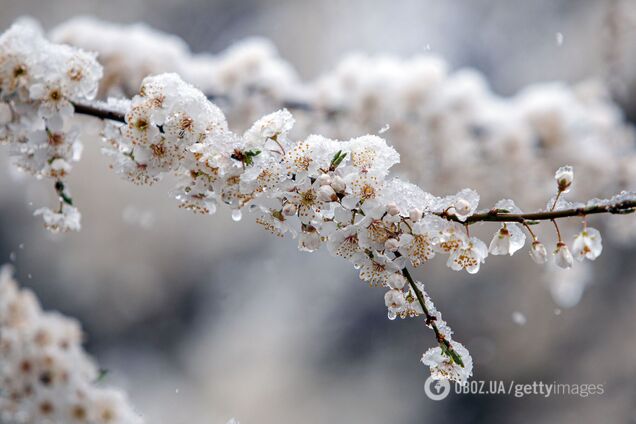 'Зимова' негода накриє Україну: в яких регіонах найбільше впаде температура і очікується сніг. Прогноз погоди на п'ять днів