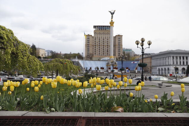 У Києві розпочався період цвітіння тюльпанів: де можна зробити чудові фото