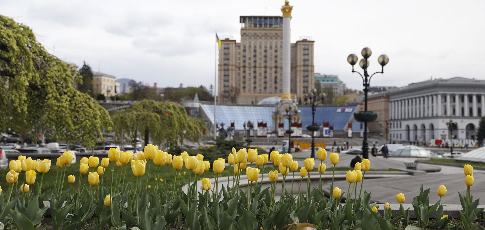 В Киеве начался период цветения тюльпанов: где можно сделать замечательные фото
