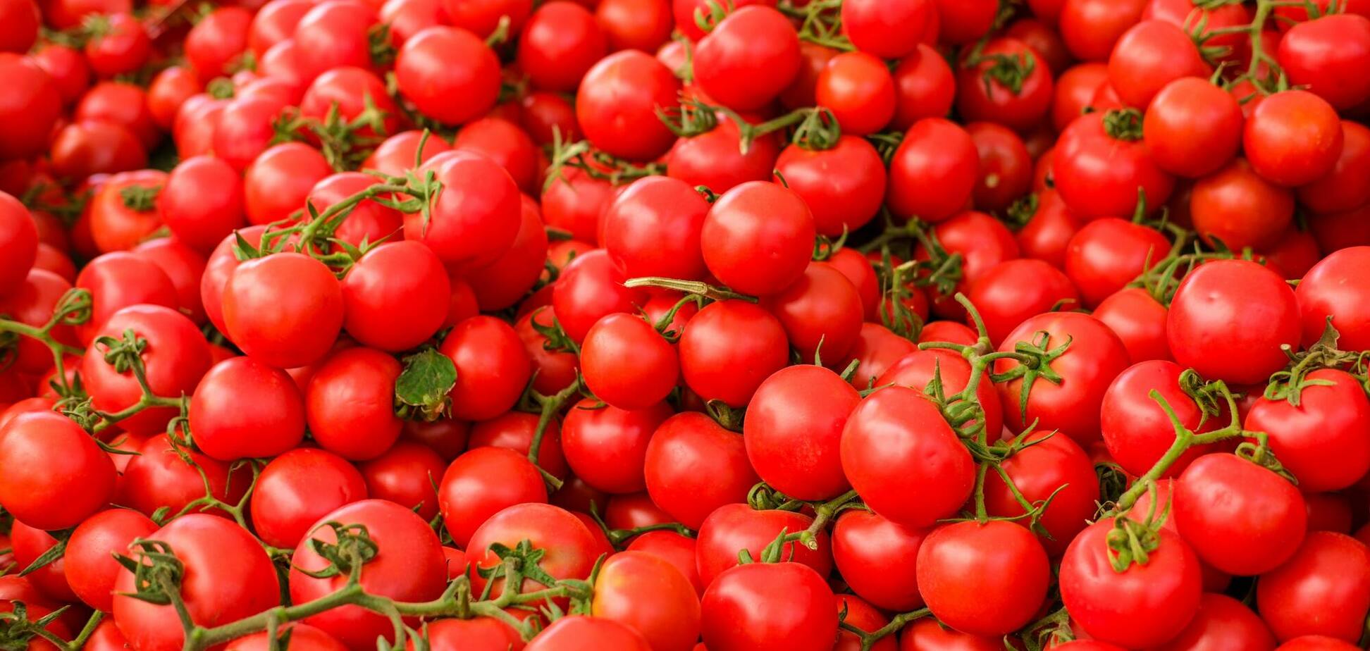 Помидоры вырастут больше и слаще: чем подкормить в апреле