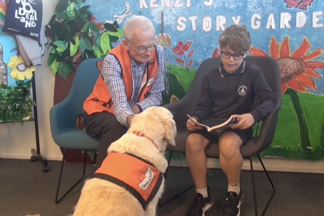 Дети становятся уверенными и учатся читать вслух: начальные школы Австралии взяли 'на работу' собак. Видео